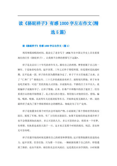读《骆驼祥子》有感1000字左右作文(精选5篇)