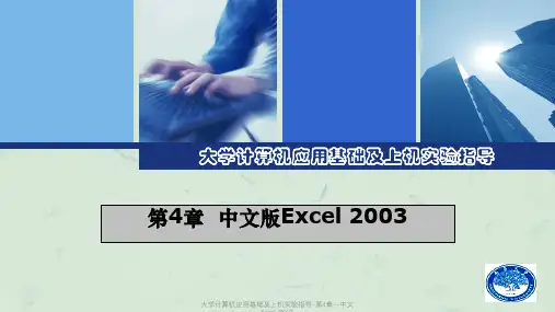 大学计算机应用基础及上机实验指导-第4章--中文Excel-2003课件