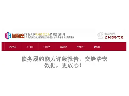 债务履约能力评级报告