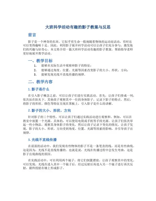 大班科学活动有趣的影子教案与反思