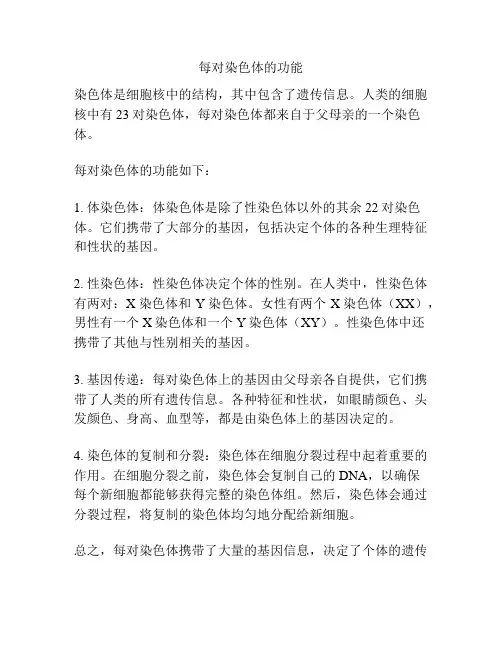 每对染色体的功能