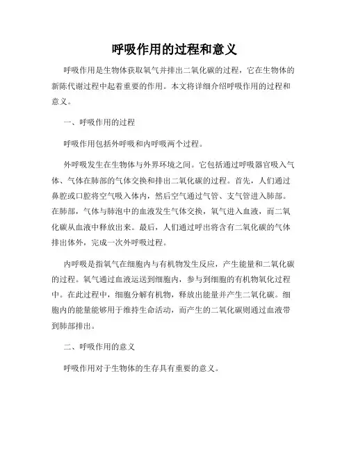 呼吸作用的过程和意义