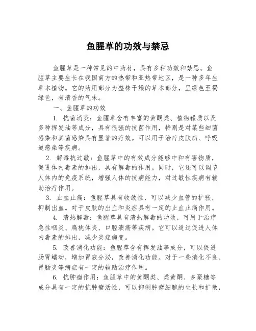 鱼腥草的功效与禁忌