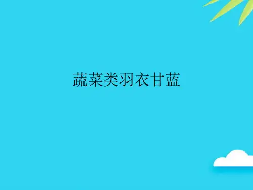 【正式版】蔬菜类羽衣甘蓝PPT