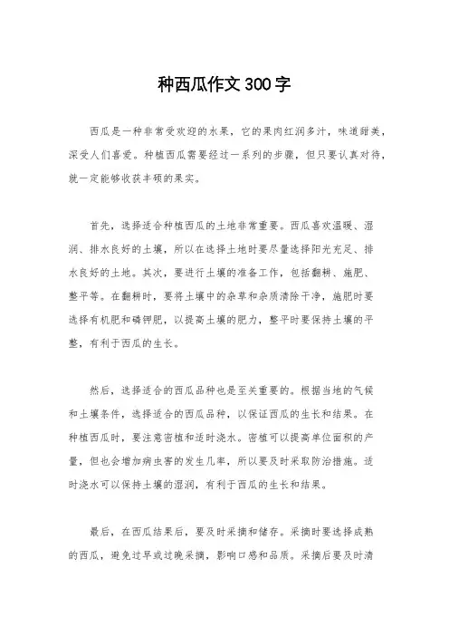 种西瓜作文300字