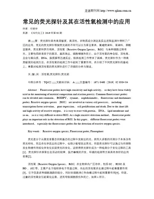 常见的荧光探针及其在活性氧检测中的应用