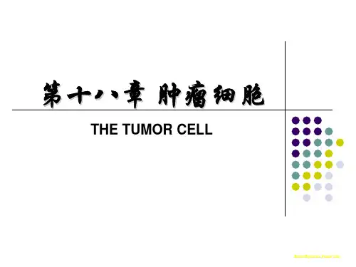 分子生物学课件：第十八章-肿瘤细胞