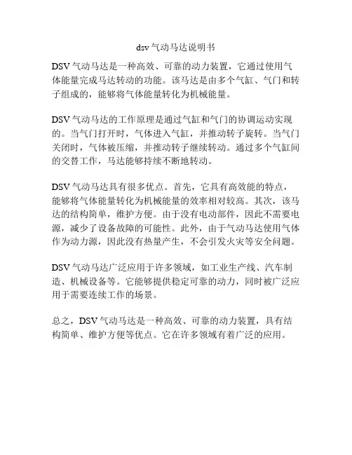 dsv气动马达说明书