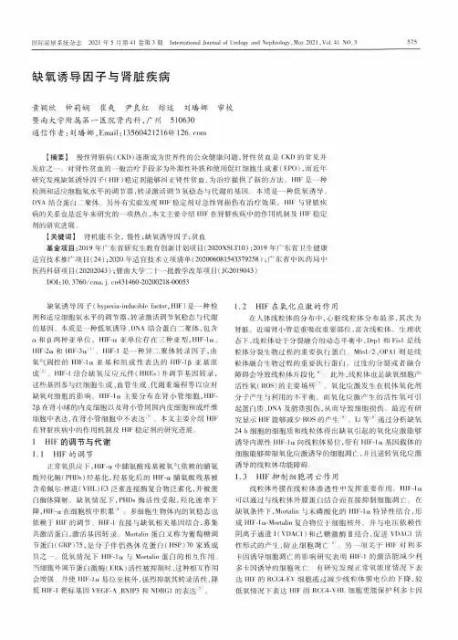 缺氧诱导因子与肾脏疾病