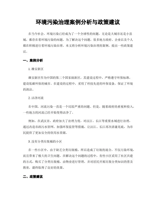 环境污染治理案例分析与政策建议