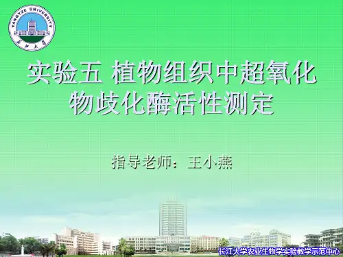 植物组织中超氧化物歧化酶活性测定