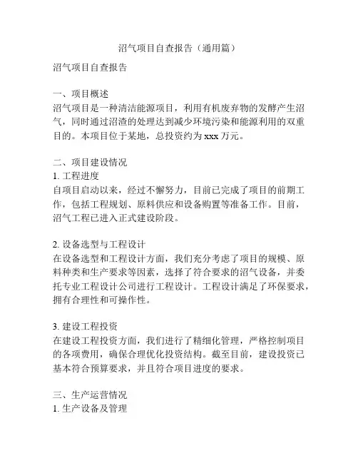 沼气项目自查报告(通用篇)