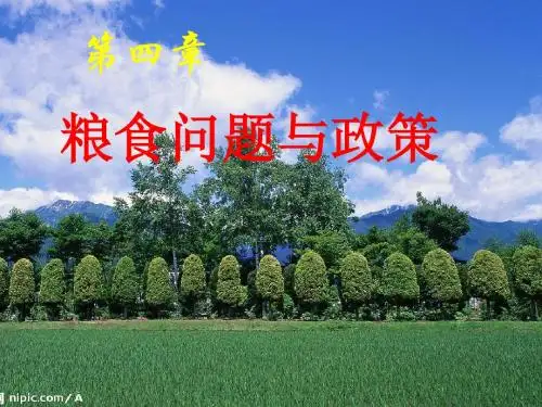 农业政策学课件 第六章 粮食问题及粮食安全政策