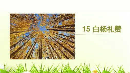 《白杨礼赞》ppt课件