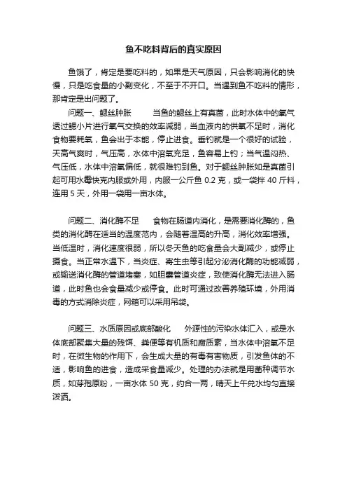 鱼不吃料背后的真实原因