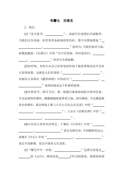 六年级下语文试题-小升初专题总复习 专题七古诗文 全国通用含答案
