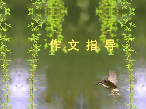 中考语文作文复习：动作描写片 (共51张PPT)