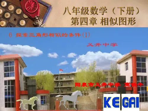 北师大版八年级下册探索三角形相似的条件