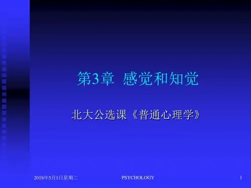 感觉和知觉学习教材PPT课件