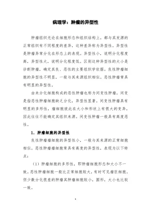 病理学：肿瘤的异型性