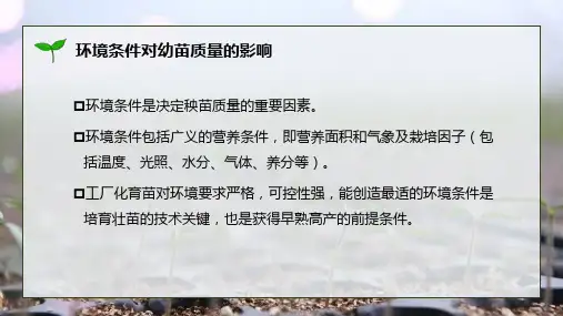 217.2环境条件对幼苗质量的影响