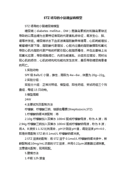 STZ诱导的小鼠糖尿病模型