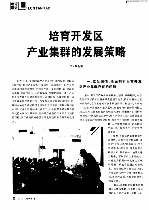 培育开发区产业集群的发展策略