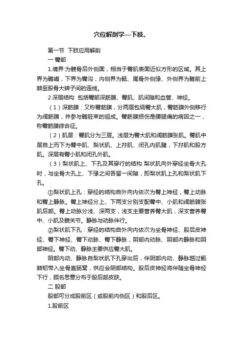 穴位解剖学—下肢。
