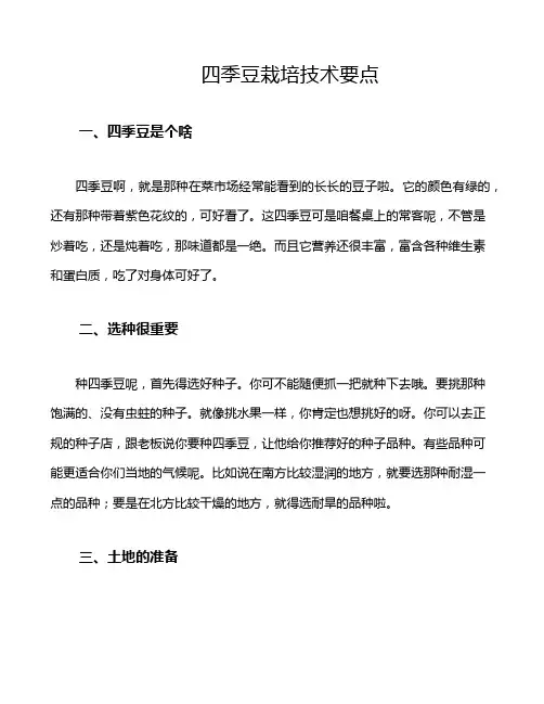 四季豆栽培技术要点