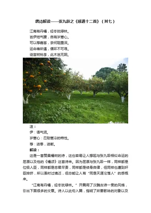 唐诗解读——张九龄之《感遇十二首》（其七）