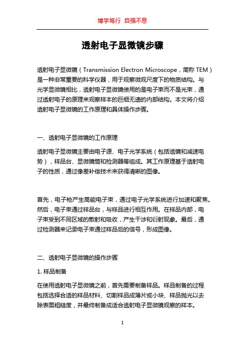 透射电子显微镜步骤