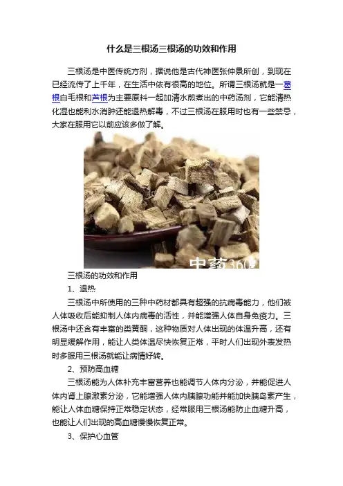 什么是三根汤三根汤的功效和作用