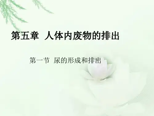 《尿的形成和排出》示范课教学PPT课件【七年级生物上册】