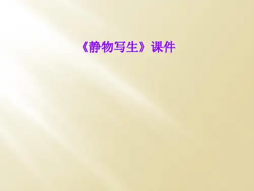 《静物写生》课件