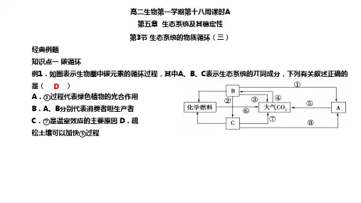 生态系统的物质循环(三)经典例题-天津市第一中学人教版高中生物必修三课件