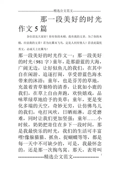 那一段美好的时光作文5篇_0