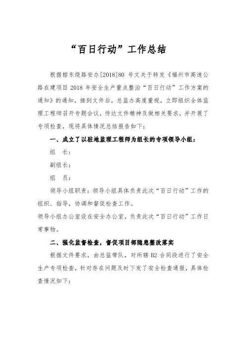 “百日行动”工作总结