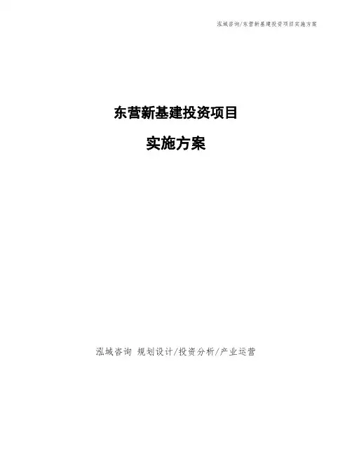 东营新基建投资项目实施方案