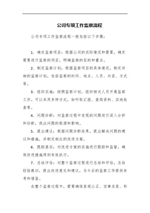 公司专项工作监察流程