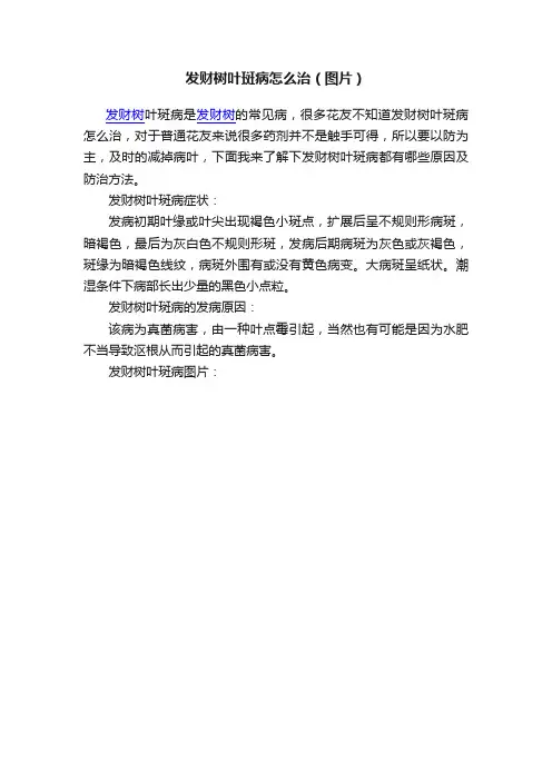 发财树叶斑病怎么治（图片）