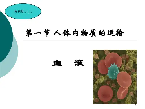 15-1人体内物质的运输——血液(课件)苏科版生物八年级