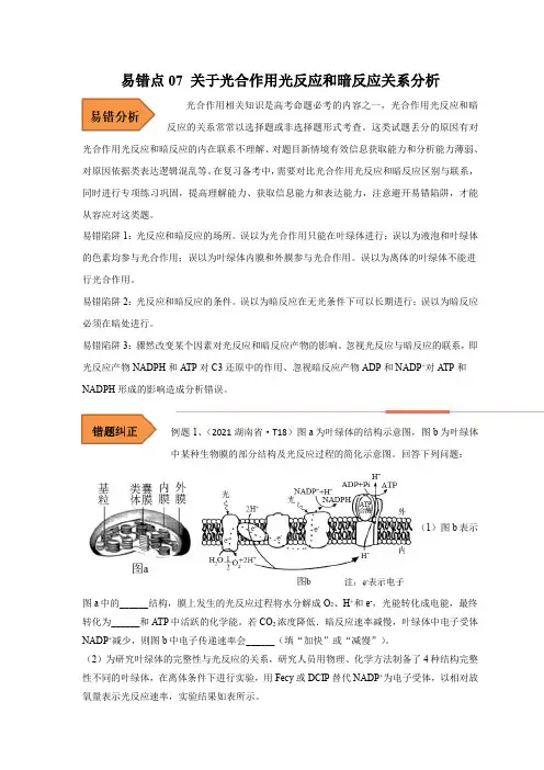 备战2023年高考等级考生物考试易错题精练07 关于光合作用光反应和暗反应关系分析(含详解)