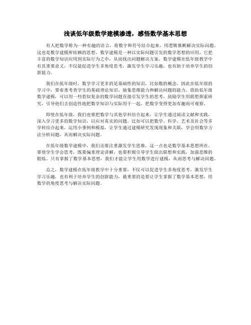 浅谈低年级数学建模渗透,感悟数学基本思想