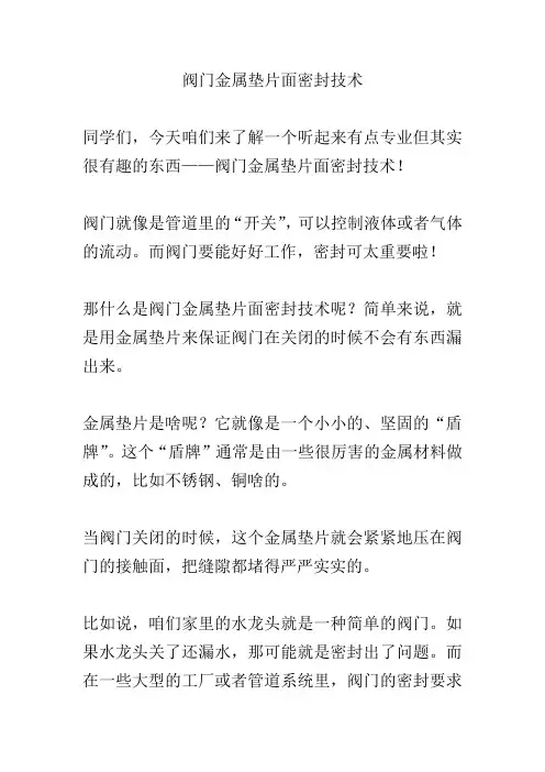 阀门金属垫片面密封技术