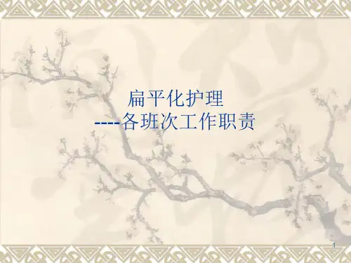 扁平化之护理工作职责ppt课件