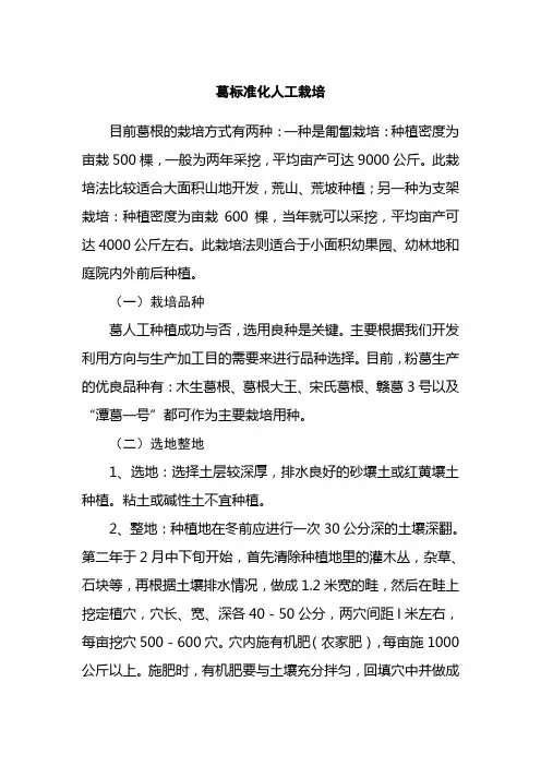葛标准化人工栽培