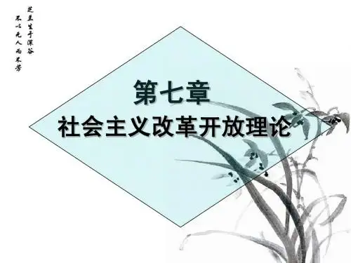 《概论》课第七章社会主义改革开放理论课件(2013年修订版)