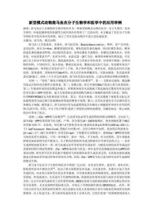 斑马鱼