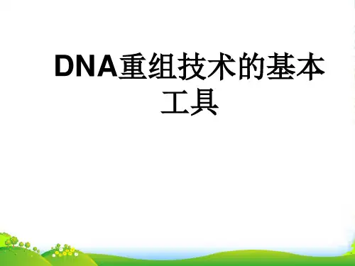 人教版高中生物选修三课件：1.1基因工程的基本工具 (共16张PPT)