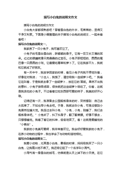 描写小白兔的说明文作文